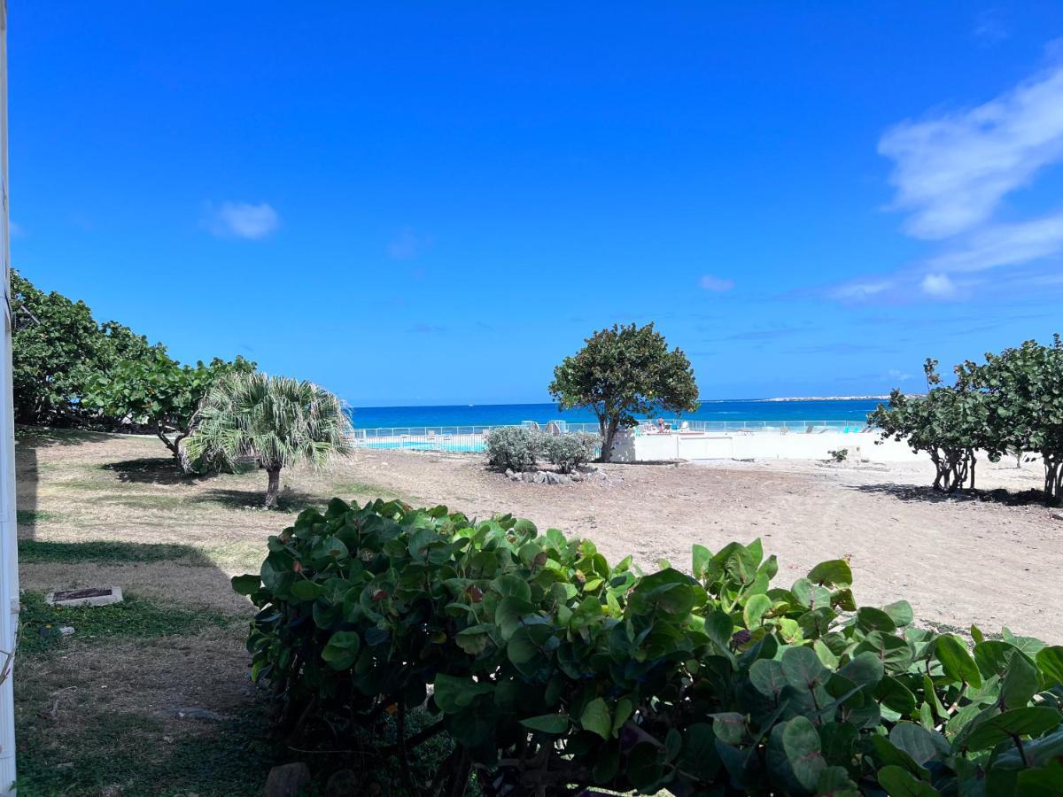 Orient Bay Studio Saba Face A La Mer Cul de Sac Exterior photo